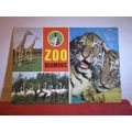THE ZOO, OLOMOUC, CZECK REPUBLIC unused postcard #