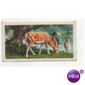 1958 Brooke Bond & Co. Ltd. Tea card British Wi...