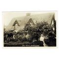Essex postcard Post Office Alphamstone