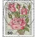 BERLIN, FLOWER, Rose, pink floribunda, grey 198...