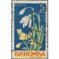 ROMANIA, FLOWER, Snowdrop, Galanthus nivalis, b...