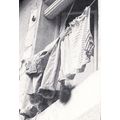 Cat Sitting In Block Of Flats Window Windowledg...