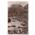 STAGS & HINDS, LOCH MAREE, Wester Ross unused a...