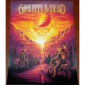 2018 GRATEFUL DEAD DEATH VALLEY MOTORCYCLE HARL...