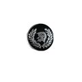 Trojan Greek Enamelled Pin Badge Metal in velve...