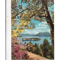 Isola Bella Lago Maggiore Italy Postcard used 1...