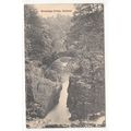 Hermitage Bridge Dunkeld Postcard Perthshire Sc...