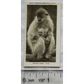1926 Pattreiouex Real Photos Animals No. CA50 -...