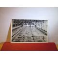 INDOOR SWIMMING-POOL, BUTLIN'S, BOGNOR REGIS, SUSSEX used postcard RP 1960 pm =