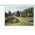 Devon KILLERTON GARDENS Postcard by J. Arthur D...