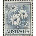 AUSTRALIA, FLOWER, Flannel Flower, blue 1959, 2...