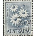 AUSTRALIA, FLOWER, Flannel Flower, blue 1959, 2...