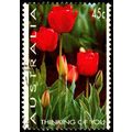 Australia 1994 Flowers 45c Used Stamp. Tulips