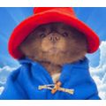 2.5 Bertram The Pomeranian (BERT) MINING-CONTRA...