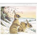 Rabbits Unknown Artist Card used VGC