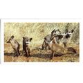PLAYER'S GRANDEE CIGAR CARD AFRICAN WILDLIFE 19...