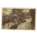 Powys postcard Wishing Gate & River Llanwrytyd