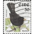 EIRE, BIRD, Blackbird, turdus merula, adhesive,...