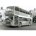 Black & White Photograph of United Counties Omn...