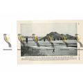 Norval's Pont Bridge, South Africa, Book Illust...