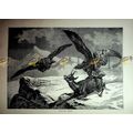 Eagle & Chamois, Italy, Book Illustration (Prin...