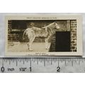 1926 Pattreiouex Real Photos Animals No. CA67 -...