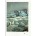 ANTARCTICA THE LAST WILDERNESS Penguins Athena ...