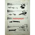 Wonderful Dachshund, Victorian Cartoon (More, R...