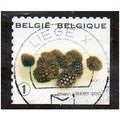 BEL 2007 (52c)(S/A) 'FRUIT- BLACKBERRIES' FINE ...