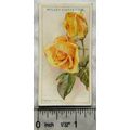 1926 Wills Roses No. 30 Mabel Morse