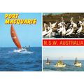 Port Macquarie New South Wales Boat Ship Wildli...