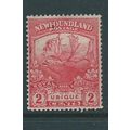 Newfoundland stamps sg131 sg 131 caribou used