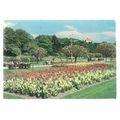 FLOWER BEDS, BOURNEMOUTH GARDENS, DORSET vintag...