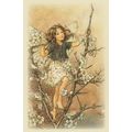 Blackthorn Flower Fairy from WW2 Old Fairies Bo...