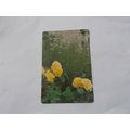 WEBBS GARDENING CARD / MODERN SHRUB ROSES (1) (...