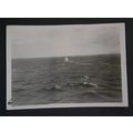 1945 WW ll US Airman Original Postwar 2"x3" Inc...
