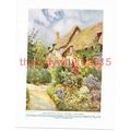 Anne Hathaways Cottage, Shottery, Warks, Book I...