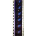 VAMPIRES. Pk MTP - C058F . 1 STRIP OF 5 - 35MM ...