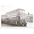Black & White Photograph of Bristol Tramways & ...