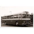 Black & White Photograph of Bristol Omnibus Co....