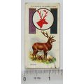 1933 Player's Boy Scout & Girl Guide Patrol Sig...