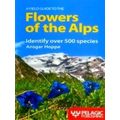 A Field Guide to the Flowers of the Alps