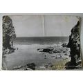 old postcard Bossiney Cove & Elephant Rock Tint...