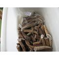 ANTLER TIPS FOR CRAFTS. 2-9 CM. 1 KG+ BAG
