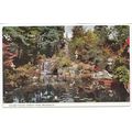 Japanese Cascade Compton Acres Bournemouth Dors...
