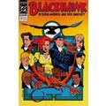 Blackhawk (Vol 2) # 013 NM MODERN AGE COMICS