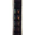 Blade Runner Pk AJM - C066N . - 1 STRIP OF 5 - ...