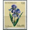 Austria. 2023. German Bearded Iris (Iris german...