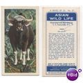 1962 Brooke Bond Tea card Asian Wild Life No.27...