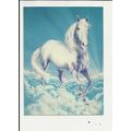 DREAM HORSE (Andrew Farley) Athena Postcard (9761)